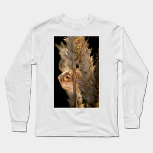 Harvest Mouse on Ear of Corn Long Sleeve T-Shirt